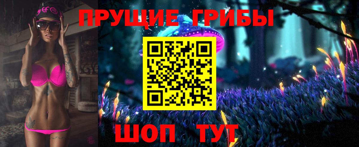 Псилоцибиновые грибы прущие грибы  Вход с VPN  где продают наркотики  Новосибирск  Галлюциногенные грибы прущие грибы 